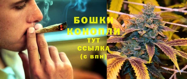 винт Бронницы