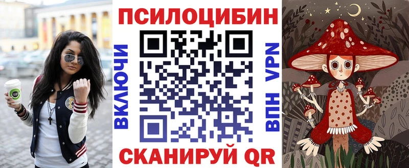 где купить наркотик  Новотитаровская  Галлюциногенные грибы MAGIC MUSHROOMS 